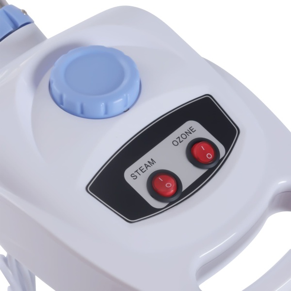 Vapeur d'ozone Vapeur Salon Sauna Visage Salon Cosmétique Machine Sauna Visage Spa Vaporisateur 750 W