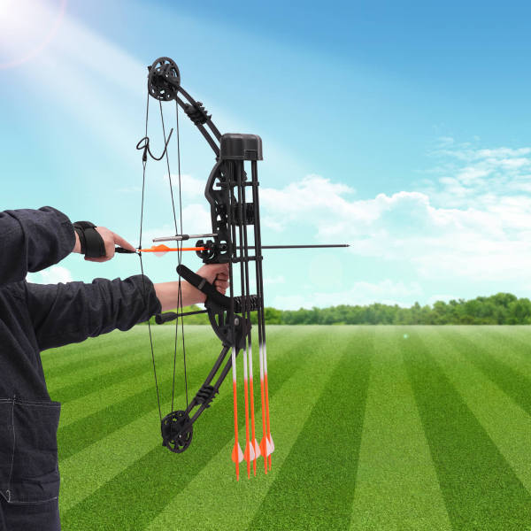 Ensemble d'arcs à poulies de 35 à 70 Lbs pour Adulte Enfant avec papiers cibles Extérieur Sport Jeu de Chasse Cadeau Jouet