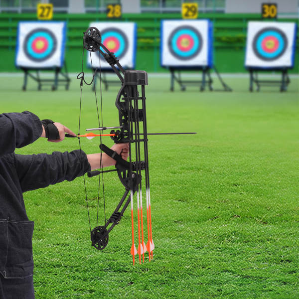 Ensemble d'arcs à poulies de 35 à 70 Lbs pour Adulte Enfant avec papiers cibles Extérieur Sport Jeu de Chasse Cadeau Jouet