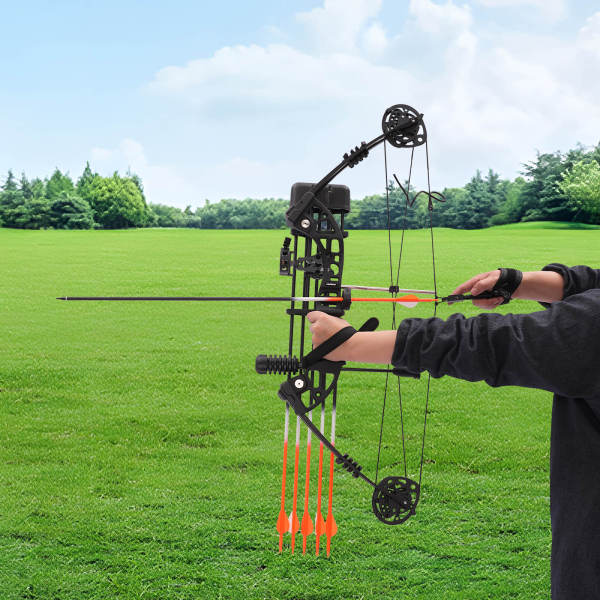 Ensemble d'arcs à poulies de 35 à 70 Lbs pour Adulte Enfant avec papiers cibles Extérieur Sport Jeu de Chasse Cadeau Jouet