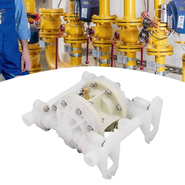 Pompe à air comprimé à double membrane avec entrée et sortie 1/2