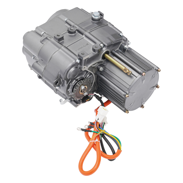Kit de moteur électrique adapté à la conversion de voitures de VTT, tricycles, karts, voiturettes de golf, gris, moteur sans balais CC 1000 W 60V Kit de moteur électrique adapté à la conversion de voitures de VTT, tricycles, karts, voiturettes de golf, gris, moteur sans balais CC 1000 W 60V