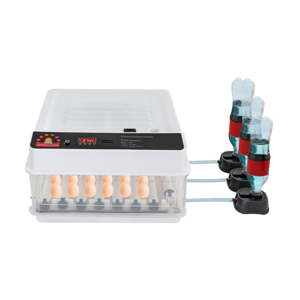 Incubateur domestique intelligent, Incubateur d'œufs automatique avec fonction de rotation, 37*40*22cm, 50W, 0-99℃