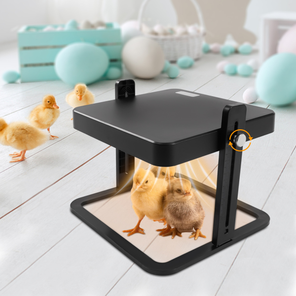 Couverture chauffante pour poussins, plaque chauffante pour poussins de 13 watts, élevage de poussins pour 10 à 15 poussins