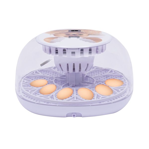 Incubateur à œufs - Contrôle de la température - Incubateur automatique pour œufs de poule, volaille