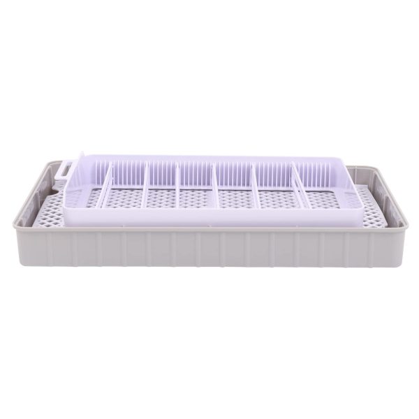 Incubateur d'oeuf entièrement automatique 20 œufs Incubateurs Incubateur Incubateur Incubateur de poulet entièrement automatique avec éclairage LED