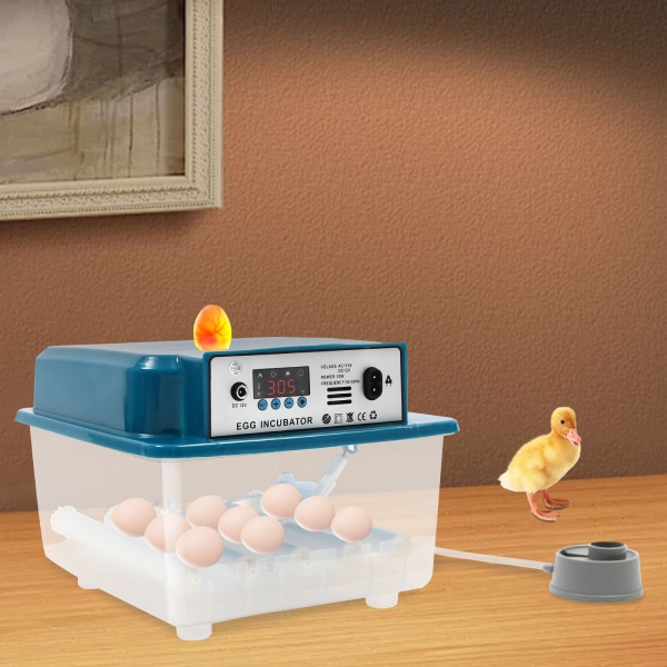 Incubateur entièrement automatique 16 œufs - Double alimentation - Incubateur intelligent - Petit chauffe-eau automatique de régulation de la température