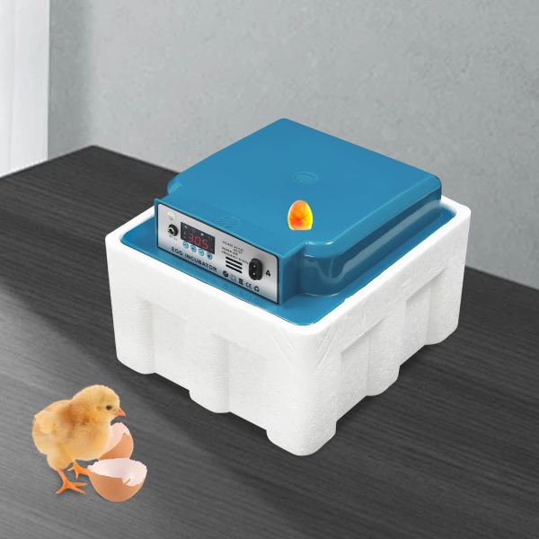 Incubateur entièrement automatique 16 œufs - Double alimentation - Incubateur intelligent - Petit chauffe-eau automatique de régulation de la température