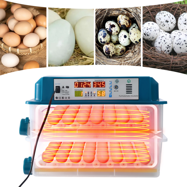 Incubateur d'œufs Incubateur d'œufs avec surveillance automatique de la rotation des œufs Incubateur pour œufs de poule