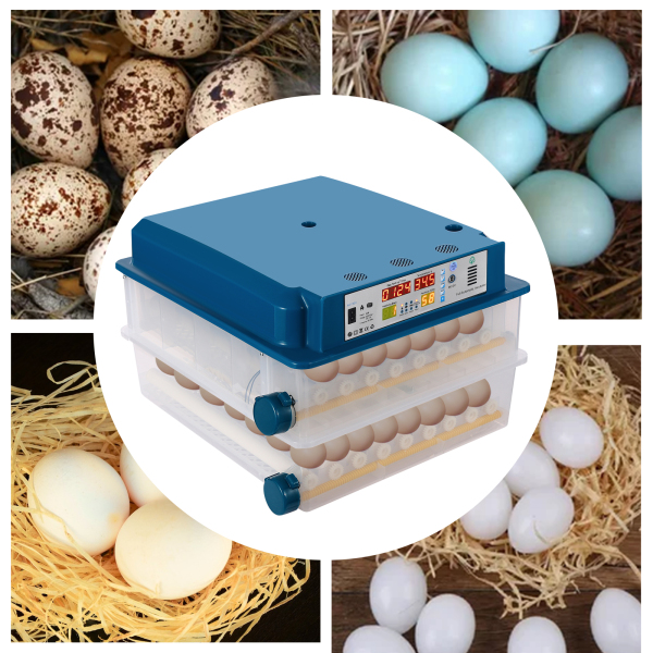 Incubateur d'œufs Incubateur d'œufs avec surveillance automatique de la rotation des œufs Incubateur pour œufs de poule