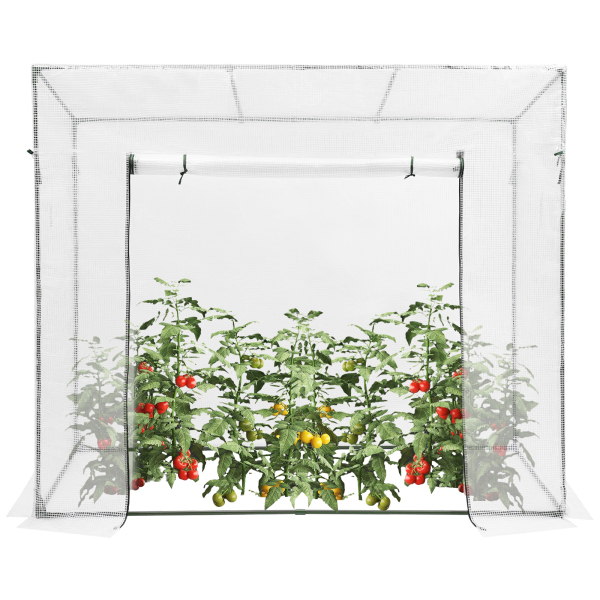 Serre à plantes 200 x 77 x 170 cm, kit de serre avec fenêtre, serre pour extérieur - Blanc