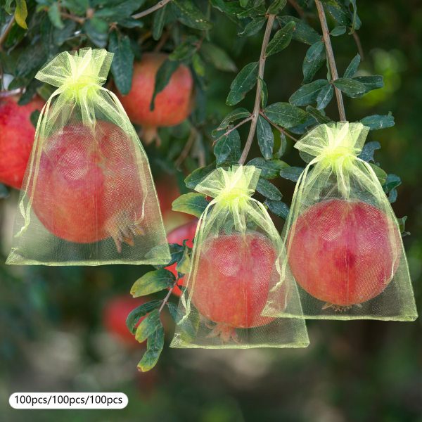 300 pièces, Sacs de protection des fruits, Sacs de filet de jardin à cordon, Sacs de filet de fruits, Vert