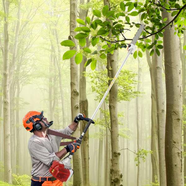 Scie à perche à essence à 2 temps, tronçonneuse à arbre fendu à essence à 2 temps, sécateur à essence