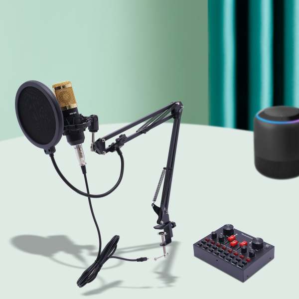 Microphone de streaming BM800 avec carte son en direct V8s Condensateur Microphone Bundle Câble de charge USB pour Live DJ 16 Effet sonore