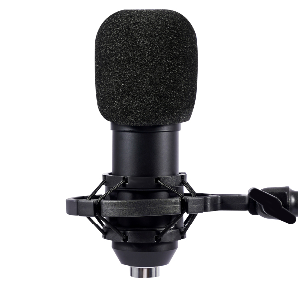 Microphone Podcast avec changeur de voix, microphone à condensateur pour studio d'enregistrement pour voix, PC, TikTok, YouTube